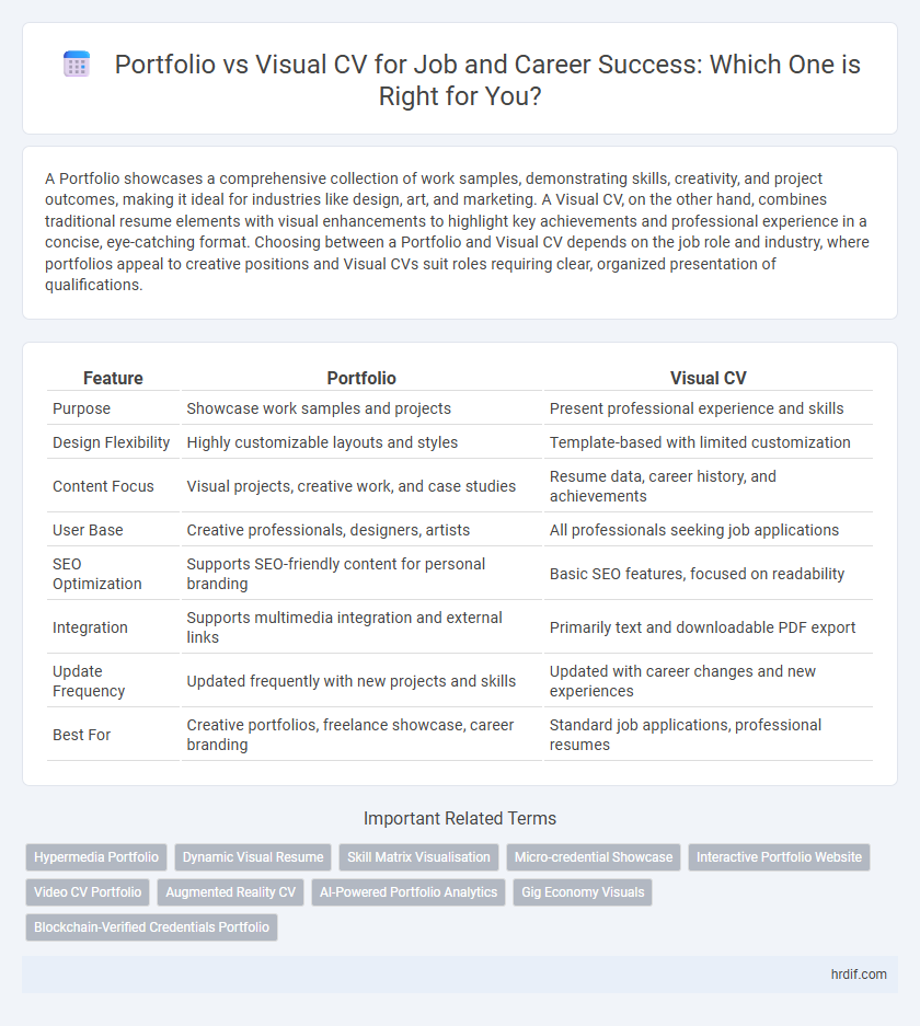 Portfolio vs Visual CV for Job and Career Success: Which One is Right for You?