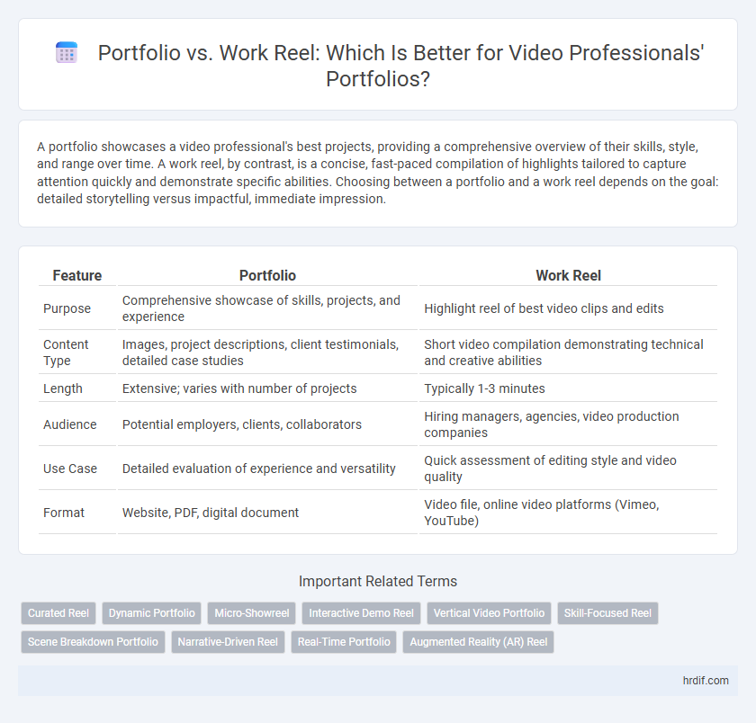 Portfolio vs. Work Reel: Which Is Better for Video Professionals' Portfolios?