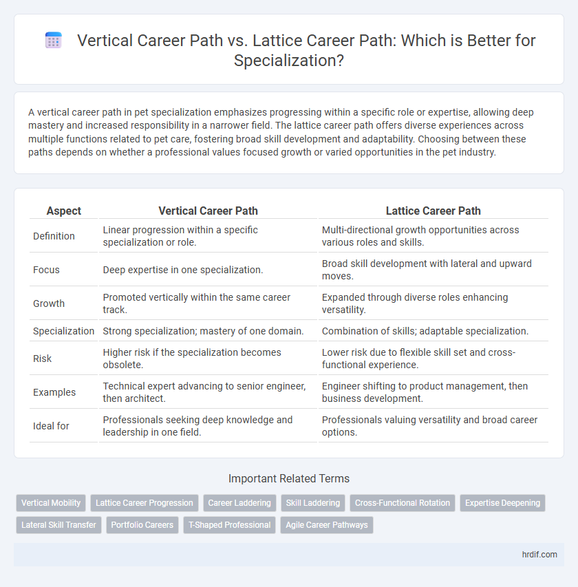 Vertical Career Path vs. Lattice Career Path: Which is Better for Specialization?