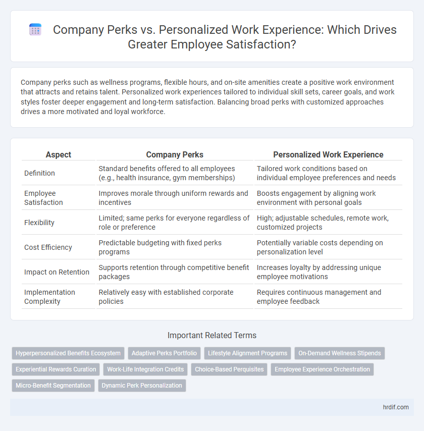 Company Perks vs. Personalized Work Experience: Which Drives Greater Employee Satisfaction?
