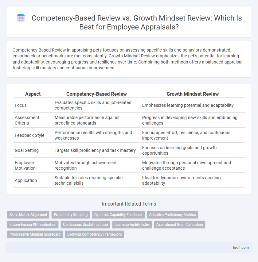 Competency-Based Review vs. Growth Mindset Review: Which Is Best for Employee Appraisals?