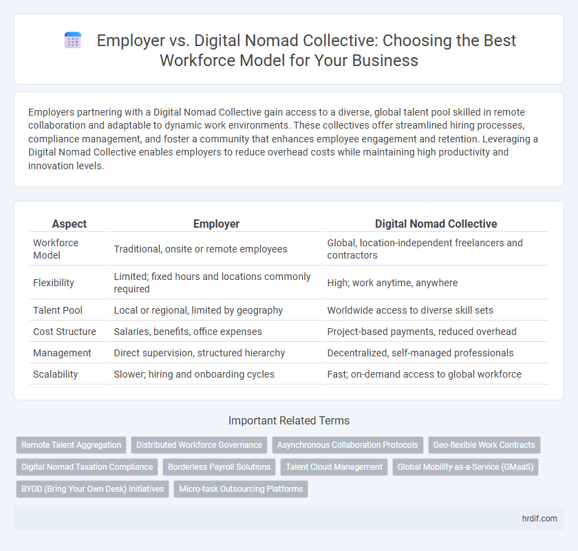 Employer vs. Digital Nomad Collective: Choosing the Best Workforce Model for Your Business