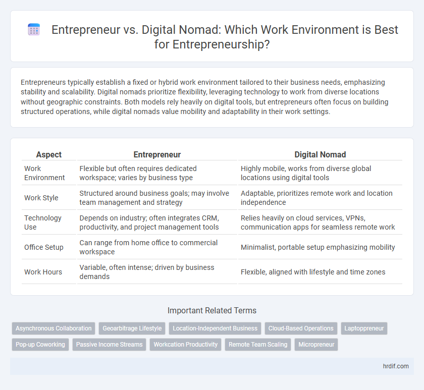 Entrepreneur vs. Digital Nomad: Which Work Environment is Best for Entrepreneurship?
