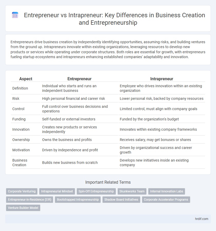 Entrepreneur vs Intrapreneur: Key Differences in Business Creation and Entrepreneurship