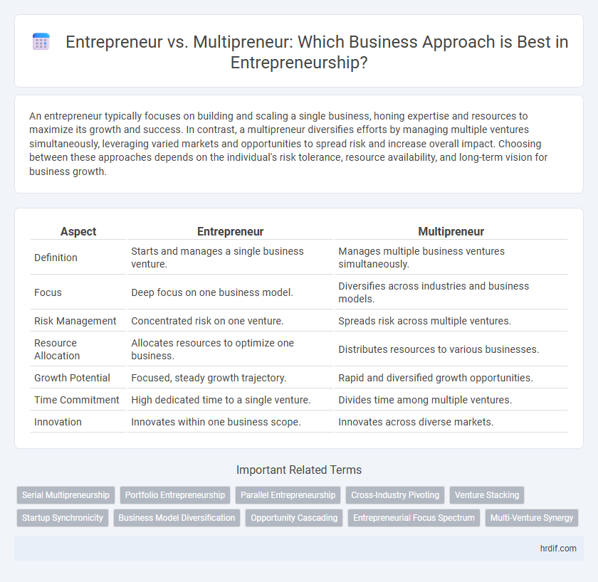 Entrepreneur vs. Multipreneur: Which Business Approach is Best in Entrepreneurship?