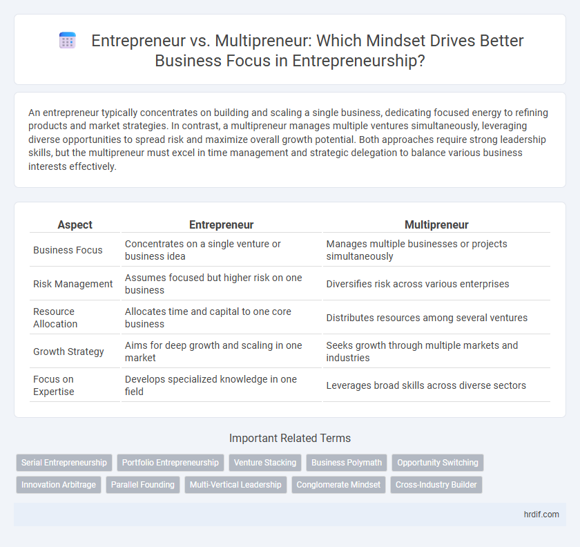 Entrepreneur vs. Multipreneur: Which Mindset Drives Better Business Focus in Entrepreneurship?