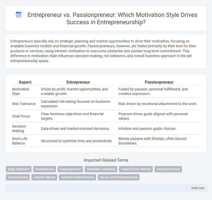 Entrepreneur vs. Passionpreneur: Which Motivation Style Drives Success in Entrepreneurship?