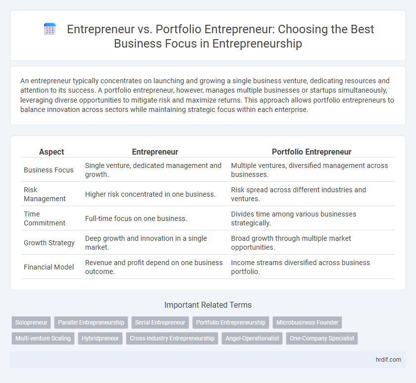 Entrepreneur vs. Portfolio Entrepreneur: Choosing the Best Business Focus in Entrepreneurship