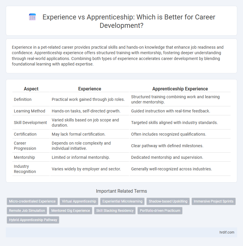 Experience vs Apprenticeship: Which is Better for Career Development?