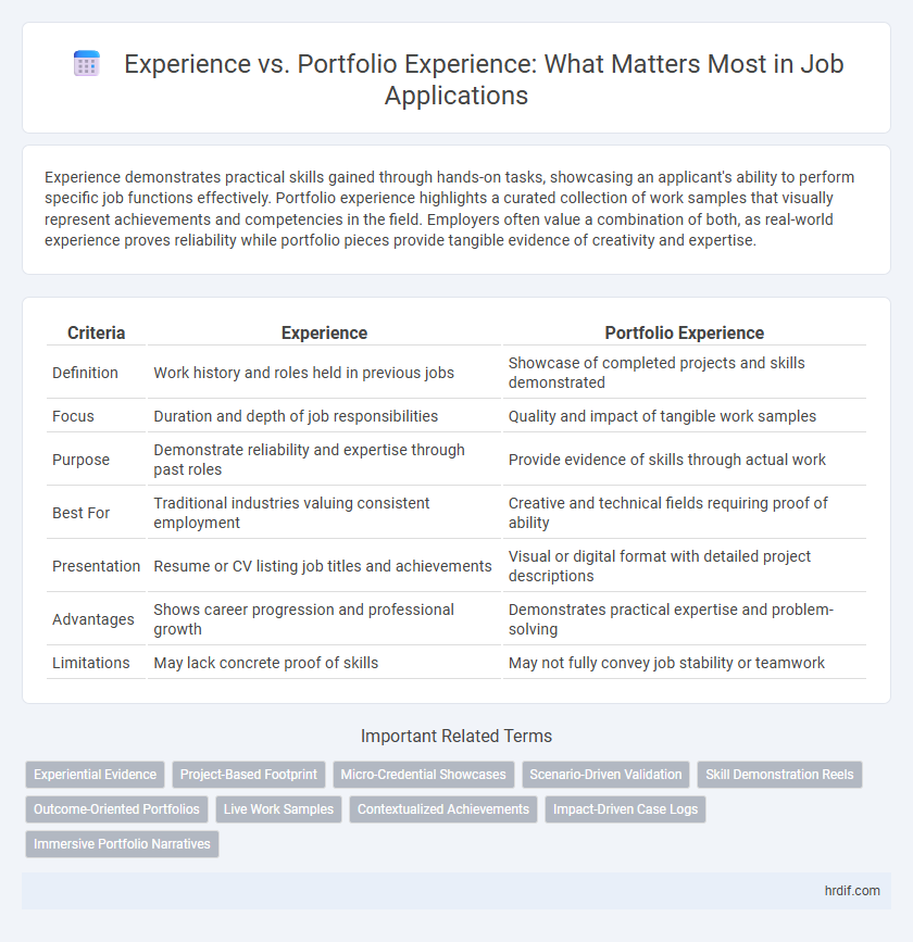 Experience vs. Portfolio Experience: What Matters Most in Job Applications