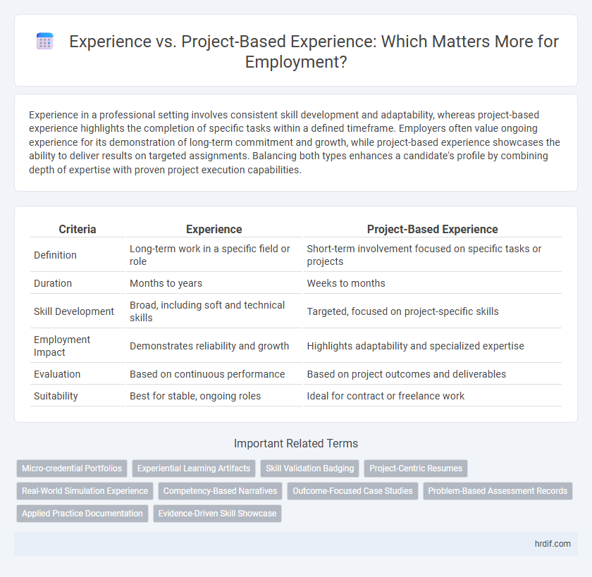 Experience vs. Project-Based Experience: Which Matters More for Employment?