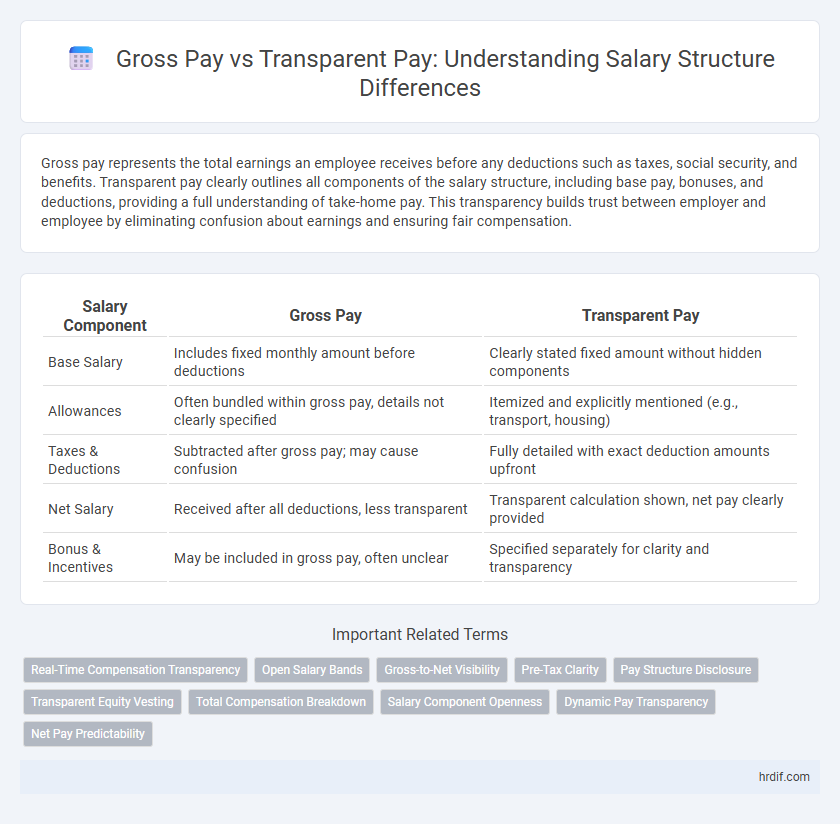 Gross Pay vs Transparent Pay: Understanding Salary Structure Differences