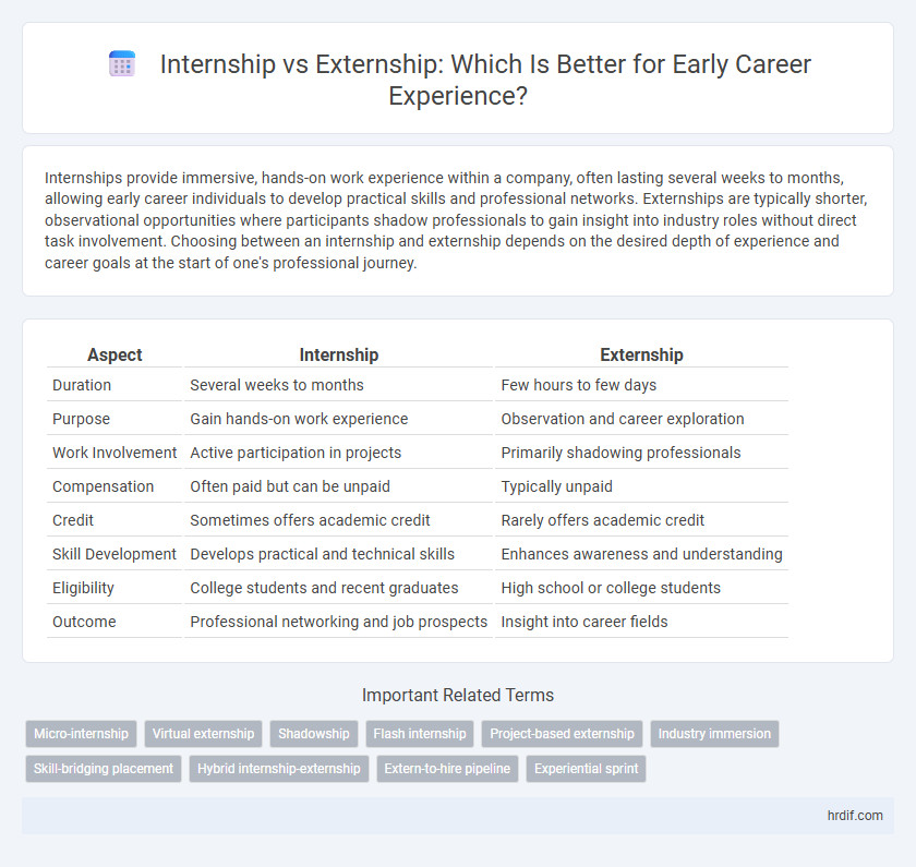 Internship vs Externship: Which Is Better for Early Career Experience?