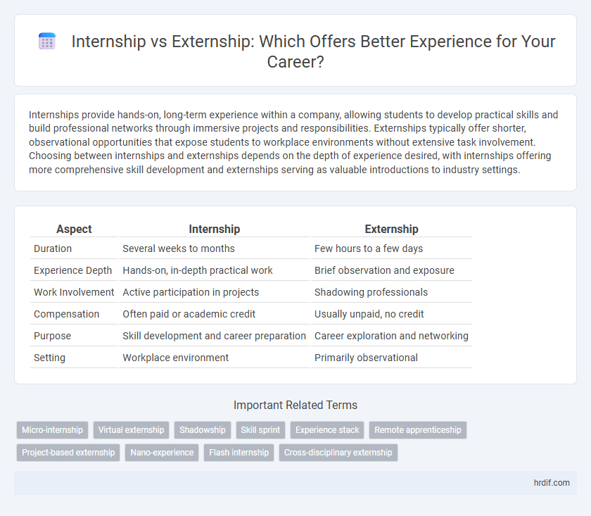 Internship vs Externship: Which Offers Better Experience for Your Career?