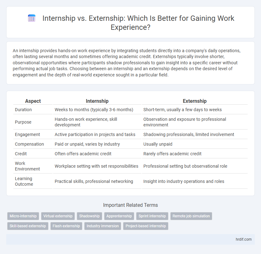 Internship vs. Externship: Which Is Better for Gaining Work Experience?