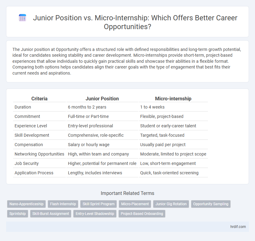 Junior Position vs. Micro-Internship: Which Offers Better Career Opportunities?