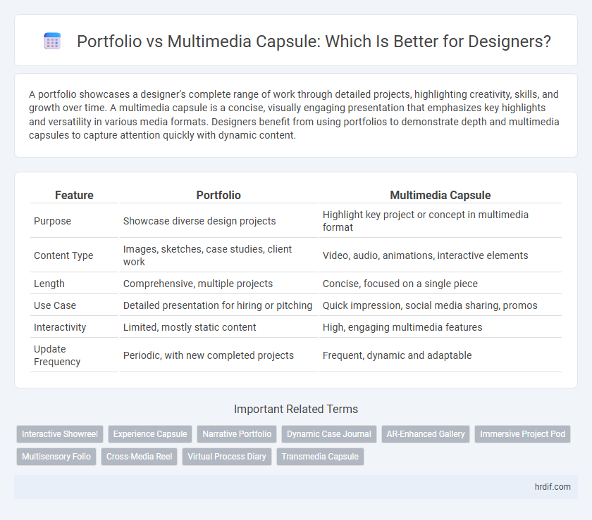 Portfolio vs Multimedia Capsule: Which Is Better for Designers?