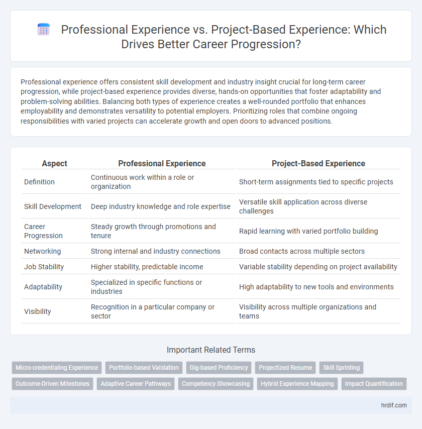 Professional Experience vs. Project-Based Experience: Which Drives Better Career Progression?