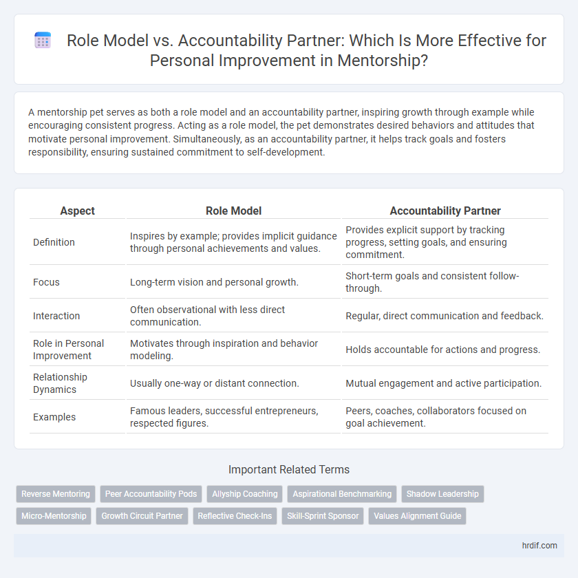 Role Model vs. Accountability Partner: Which Is More Effective for Personal Improvement in Mentorship?