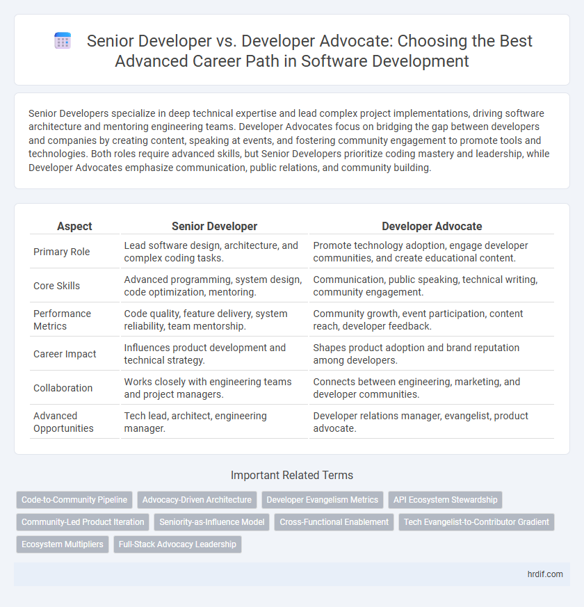 Senior Developer vs. Developer Advocate: Choosing the Best Advanced Career Path in Software Development