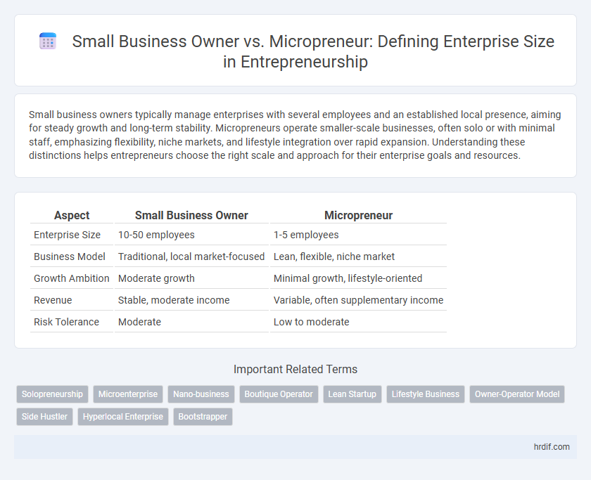 Small Business Owner vs. Micropreneur: Defining Enterprise Size in Entrepreneurship