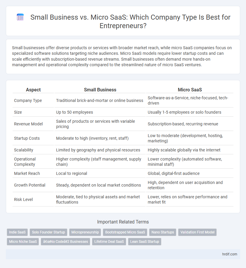 Small Business vs. Micro SaaS: Which Company Type Is Best for Entrepreneurs?