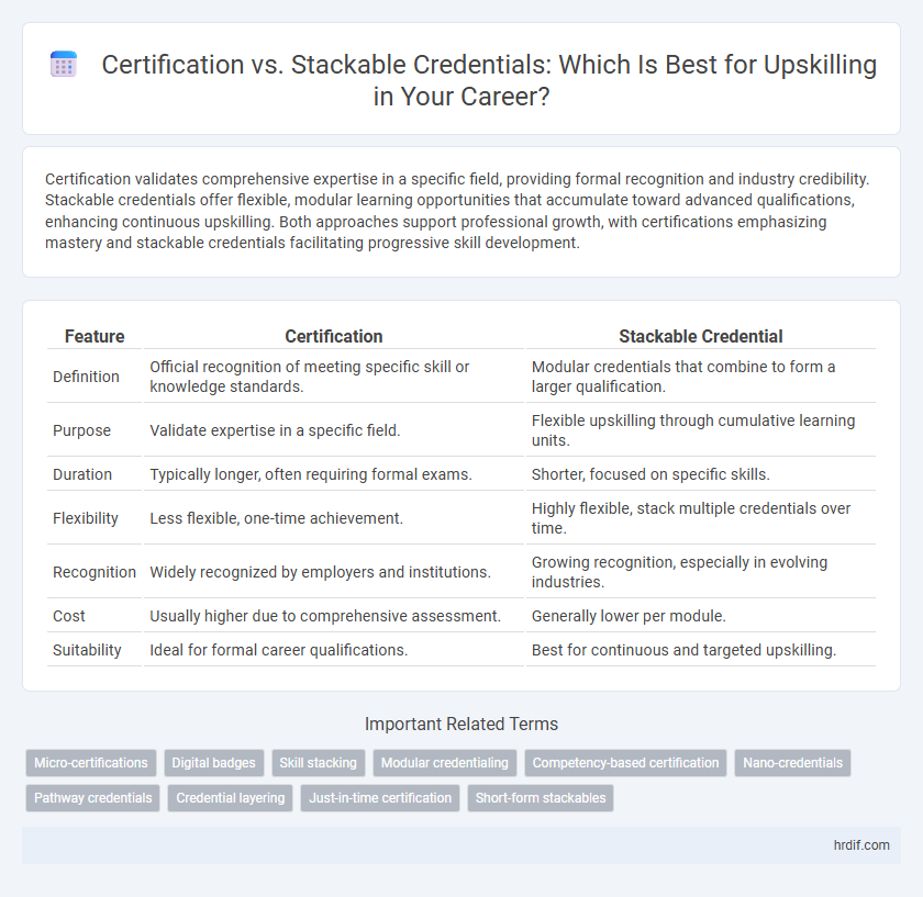 Certification vs. Stackable Credentials: Which Is Best for Upskilling in Your Career?