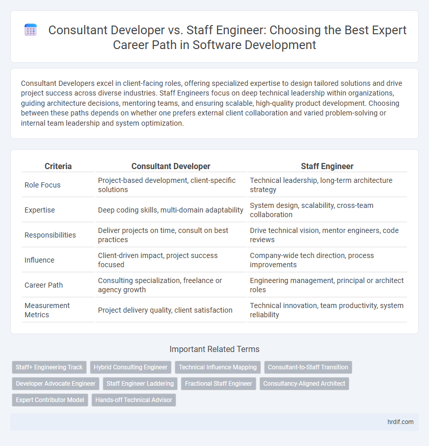 Consultant Developer vs. Staff Engineer: Choosing the Best Expert Career Path in Software Development