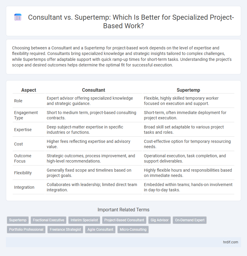 Consultant vs. Supertemp: Which Is Better for Specialized Project-Based Work?