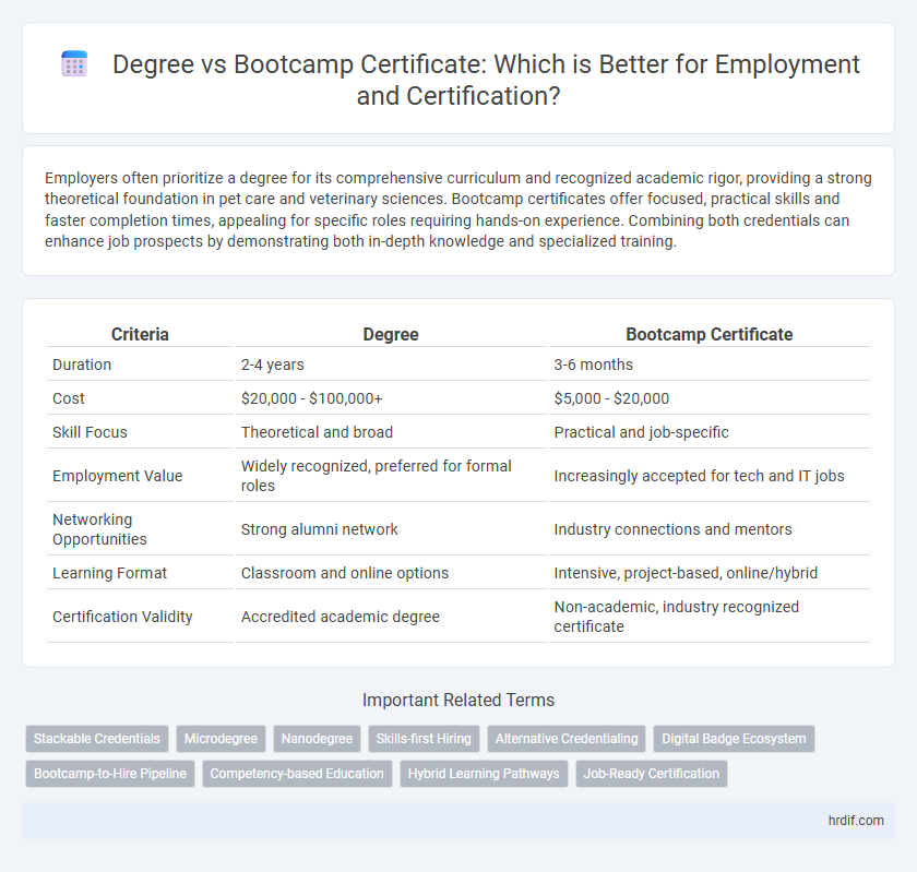 Degree vs Bootcamp Certificate: Which is Better for Employment and Certification?