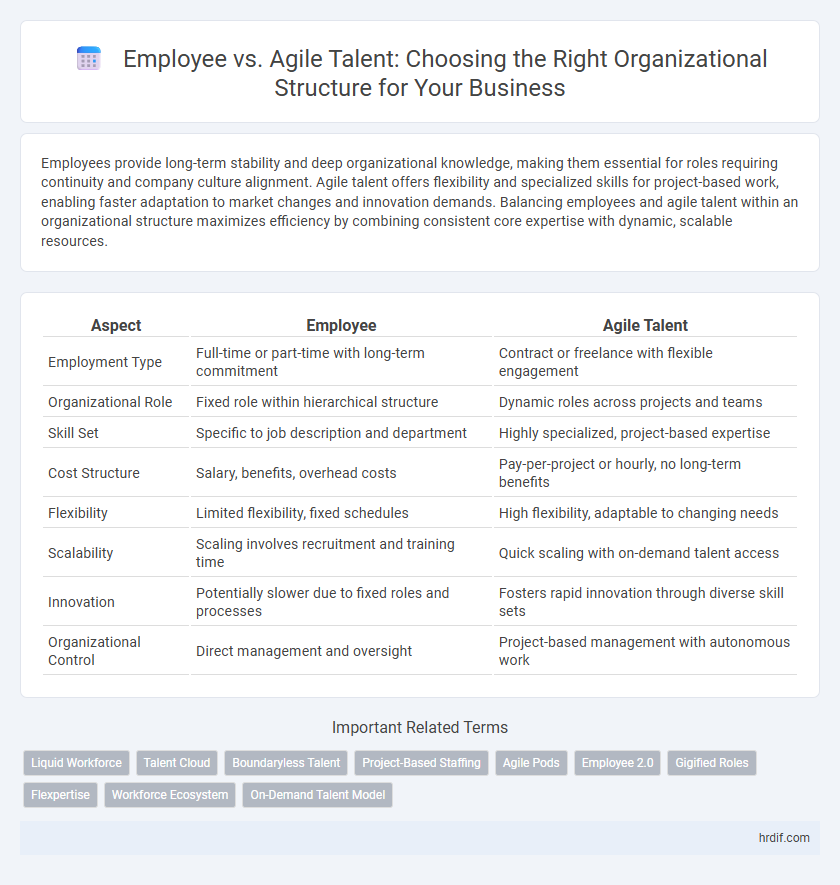 Employee vs. Agile Talent: Choosing the Right Organizational Structure for Your Business