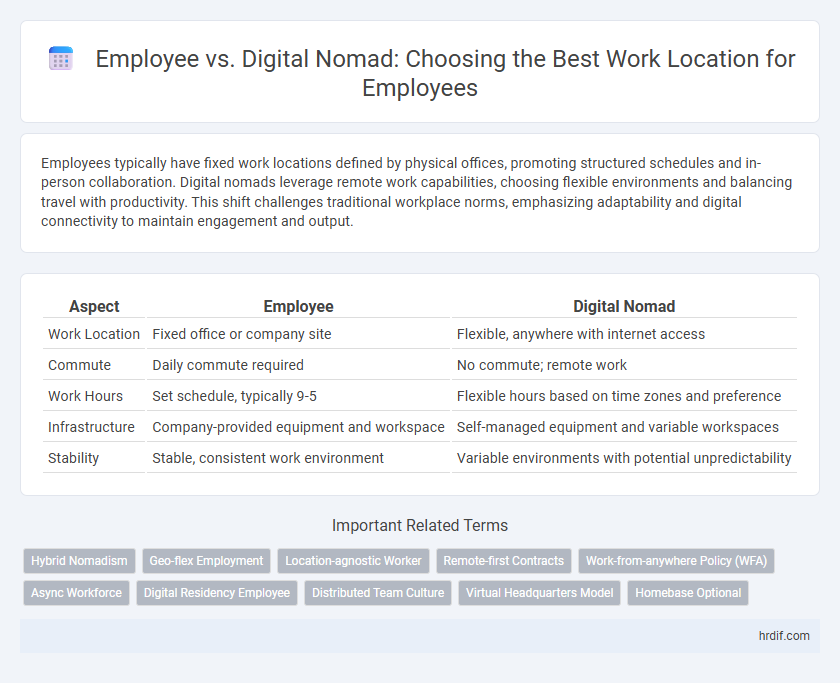 Employee vs. Digital Nomad: Choosing the Best Work Location for Employees