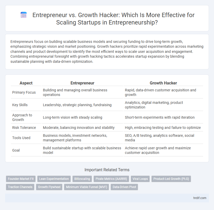 Entrepreneur vs. Growth Hacker: Which Is More Effective for Scaling Startups in Entrepreneurship?