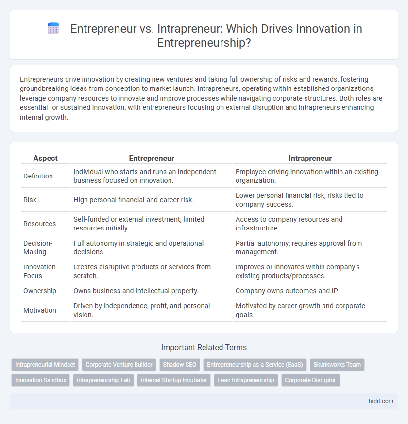 Entrepreneur vs. Intrapreneur: Which Drives Innovation in Entrepreneurship?