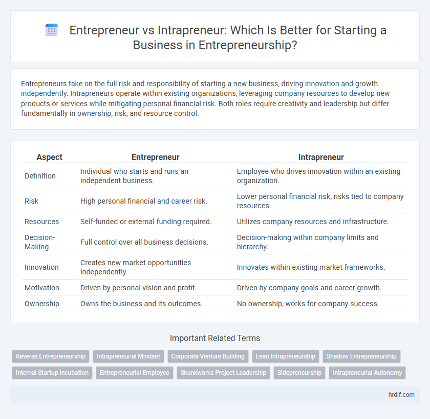 Entrepreneur vs Intrapreneur: Which Is Better for Starting a Business in Entrepreneurship?