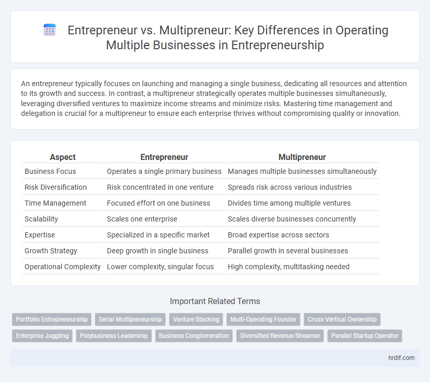 Entrepreneur vs. Multipreneur: Key Differences in Operating Multiple Businesses in Entrepreneurship