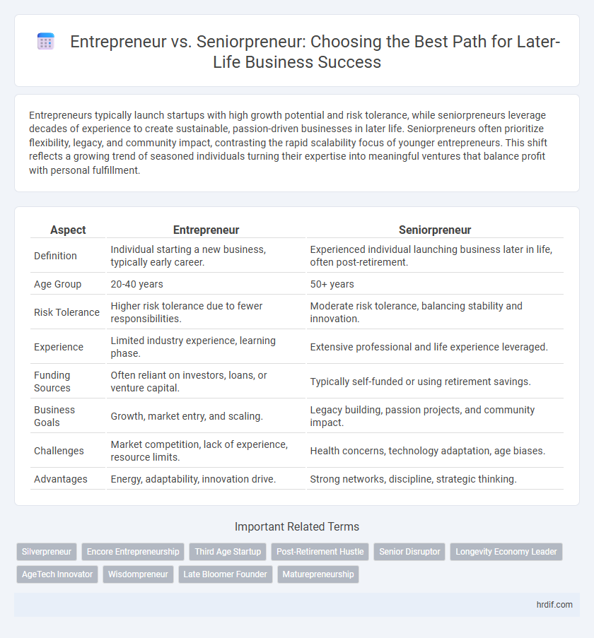 Entrepreneur vs. Seniorpreneur: Choosing the Best Path for Later-Life Business Success