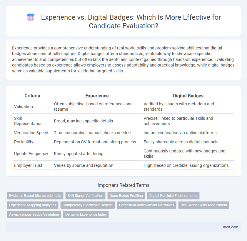 Experience vs. Digital Badges: Which Is More Effective for Candidate Evaluation?