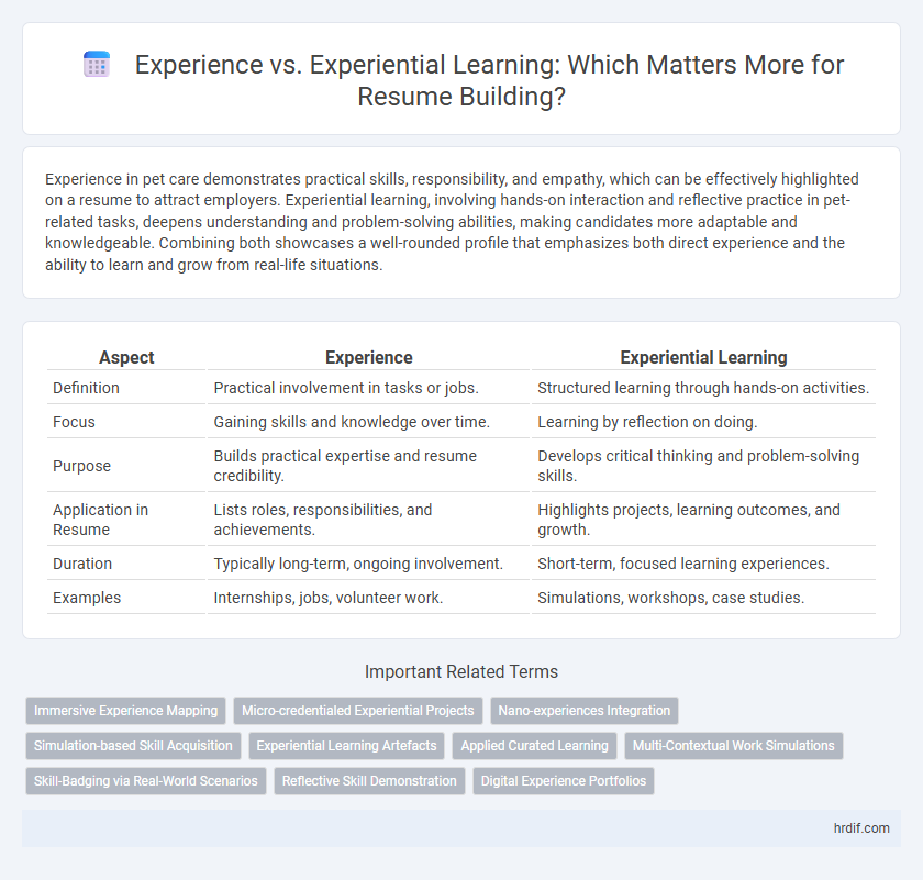 Experience vs. Experiential Learning: Which Matters More for Resume Building?