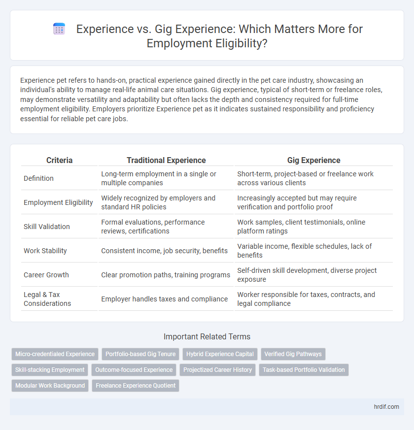 Experience vs. Gig Experience: Which Matters More for Employment Eligibility?