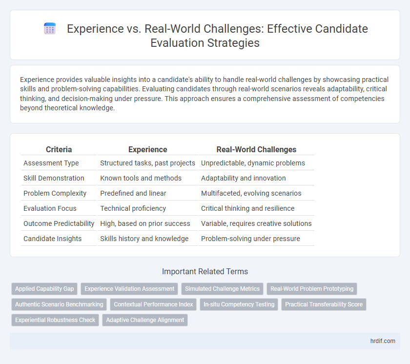 Experience vs. Real-World Challenges: Effective Candidate Evaluation Strategies