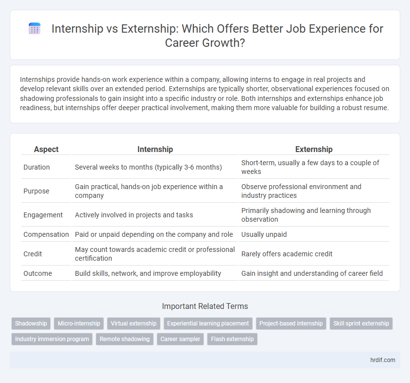 Internship vs Externship: Which Offers Better Job Experience for Career Growth?