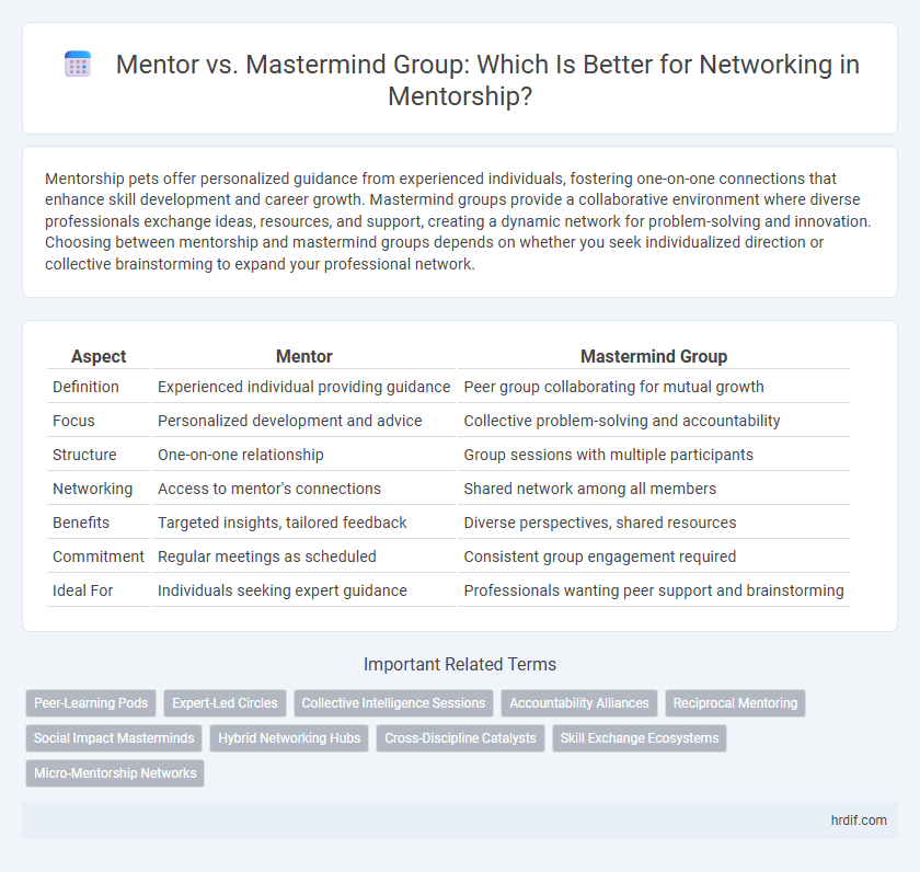 Mentor vs. Mastermind Group: Which Is Better for Networking in Mentorship?