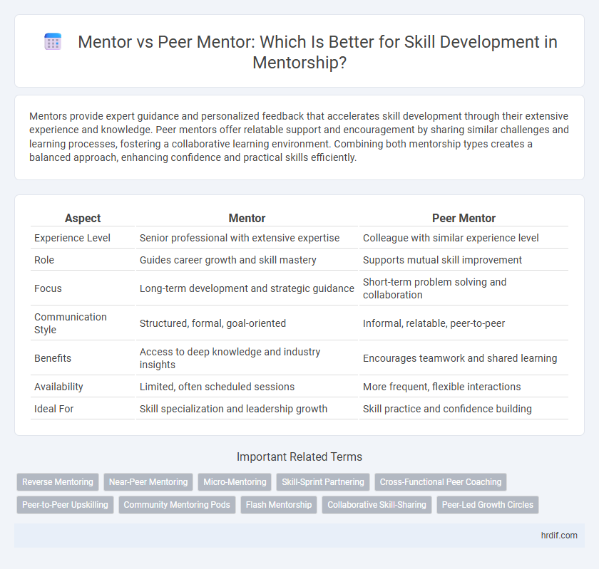 Mentor vs Peer Mentor: Which Is Better for Skill Development in Mentorship?