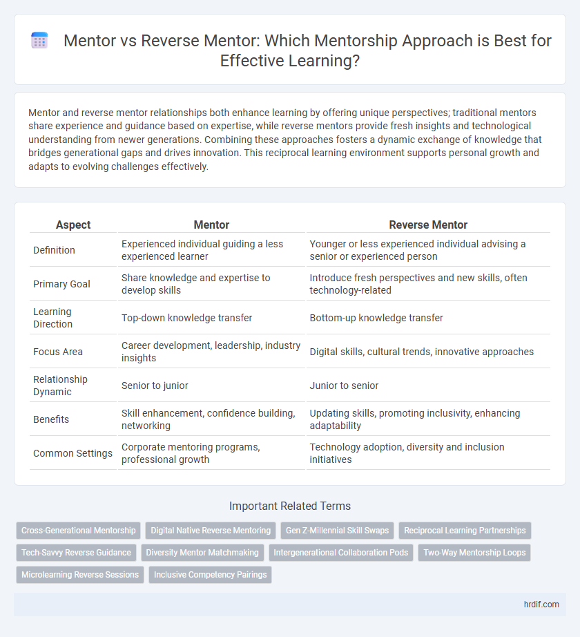 Mentor vs Reverse Mentor: Which Mentorship Approach is Best for Effective Learning?