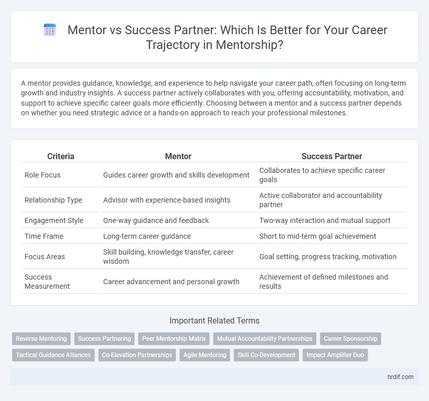 Mentor vs Success Partner: Which Is Better for Your Career Trajectory in Mentorship?
