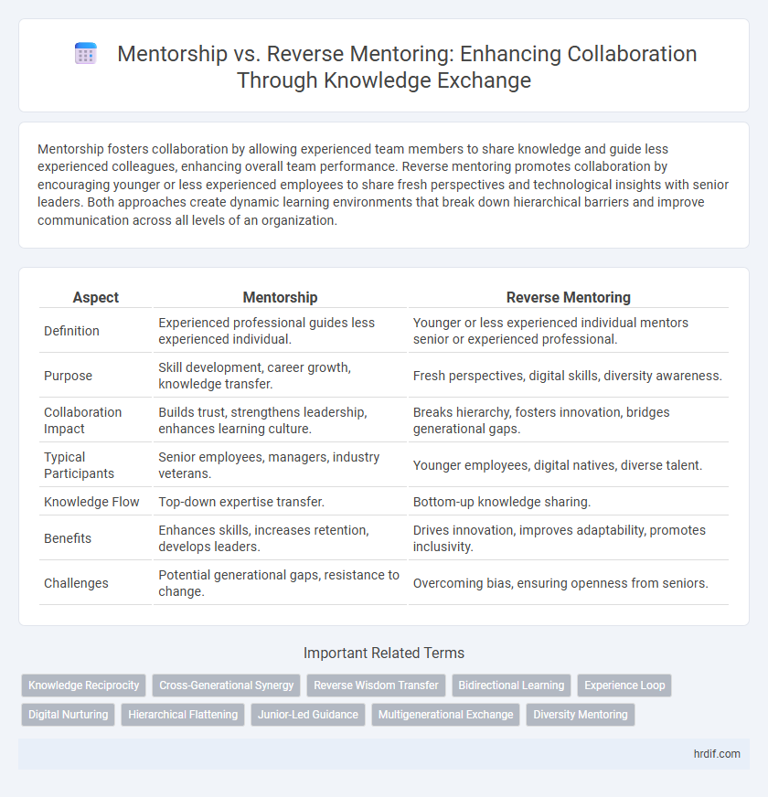 Mentorship vs. Reverse Mentoring: Enhancing Collaboration Through Knowledge Exchange