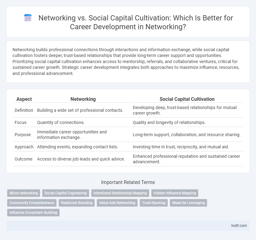 Networking vs. Social Capital Cultivation: Which Is Better for Career Development in Networking?