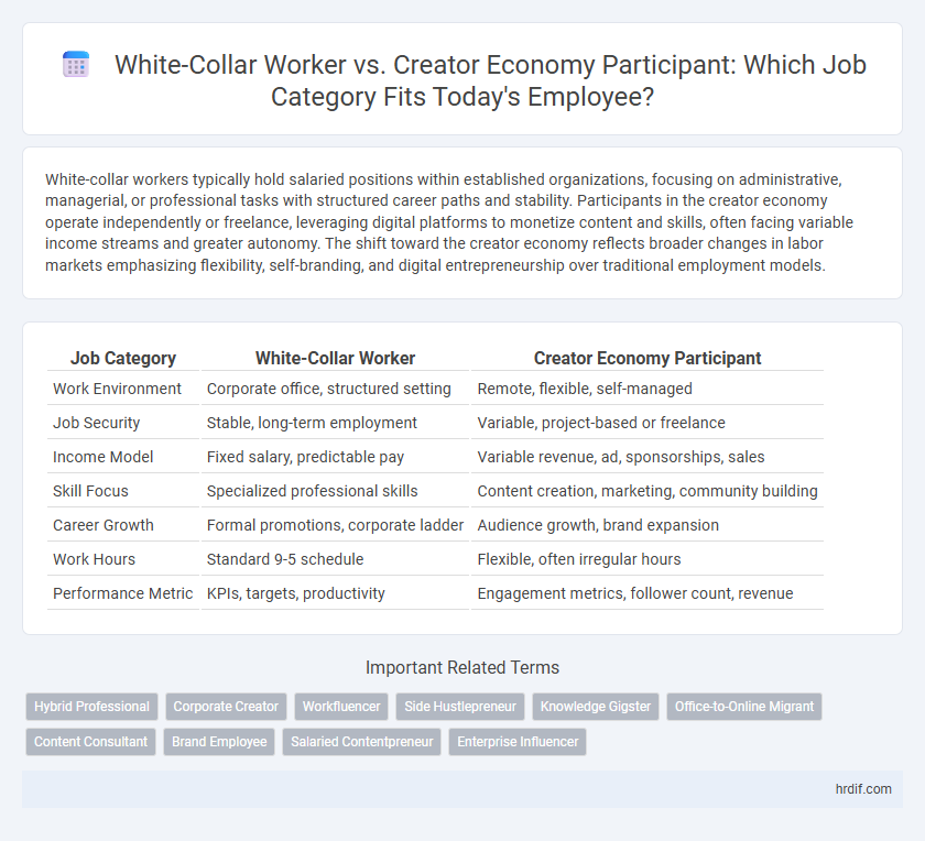 White-Collar Worker vs. Creator Economy Participant: Which Job Category Fits Today's Employee?